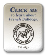 French Bull Dog Club of America